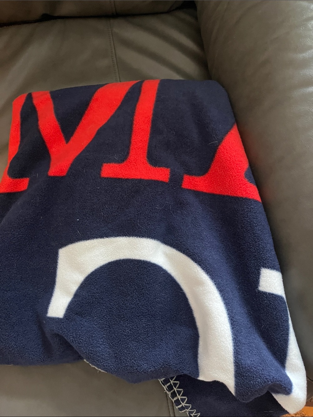 American Eagle blanket Graphic Fleece Throw